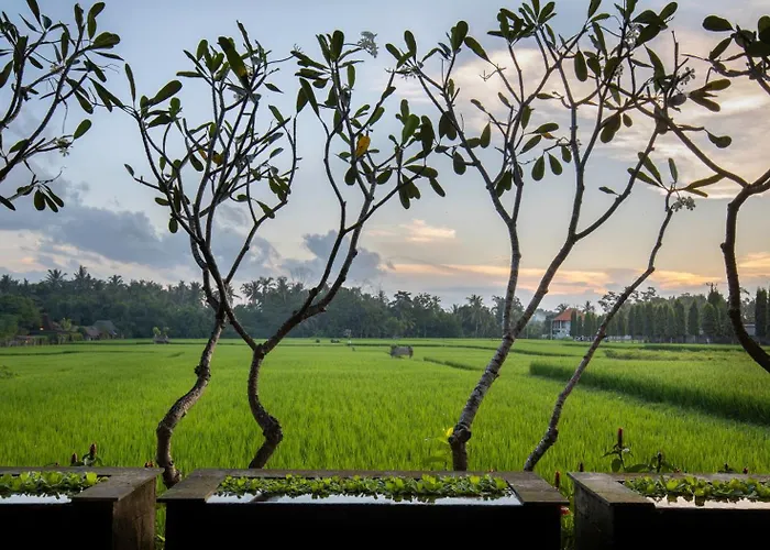 Kayu Villa *