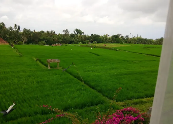 Kayu