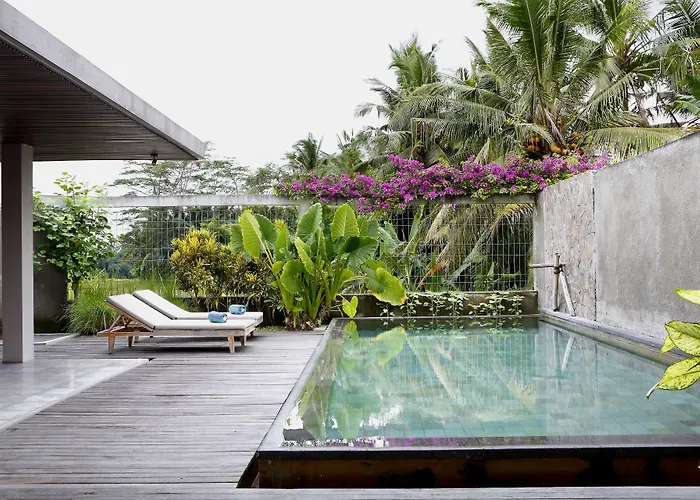 Kayu Ubud
