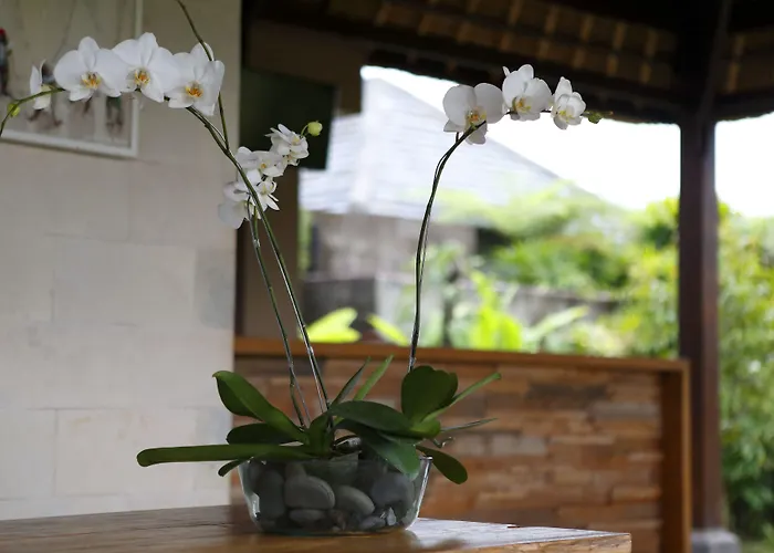 Villa Kayu *